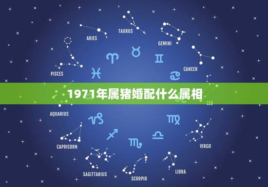 1971年属猪婚配什么属相，请问71年属猪和哪个属相配