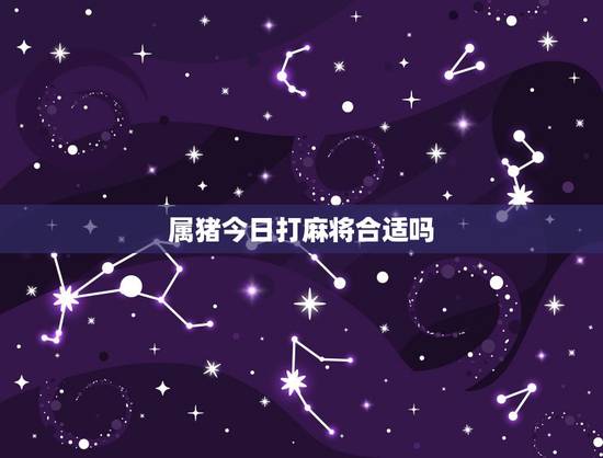 属猪今日打麻将合适吗，属猪人今日麻将运势查询