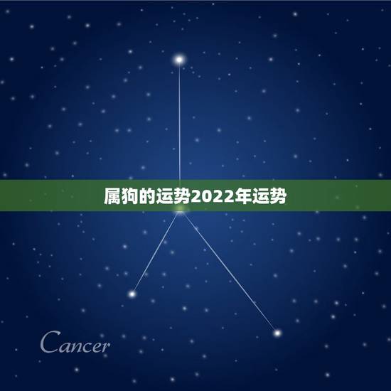 属狗的运势2022年运势，属狗人未来三年运势
