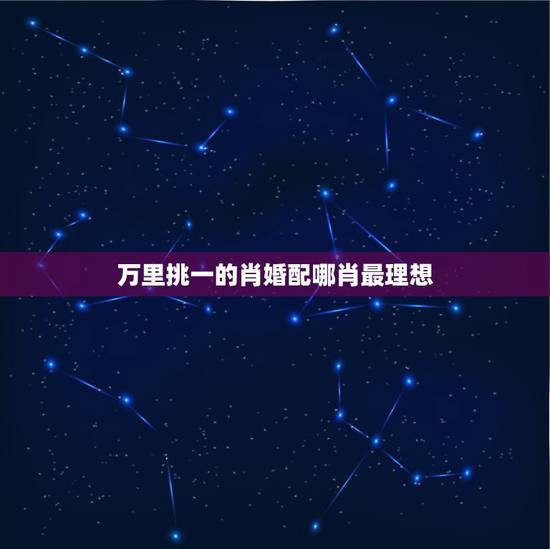 万里挑一的肖婚配哪肖最理想，十二生肖中哪个生肖是最富有的