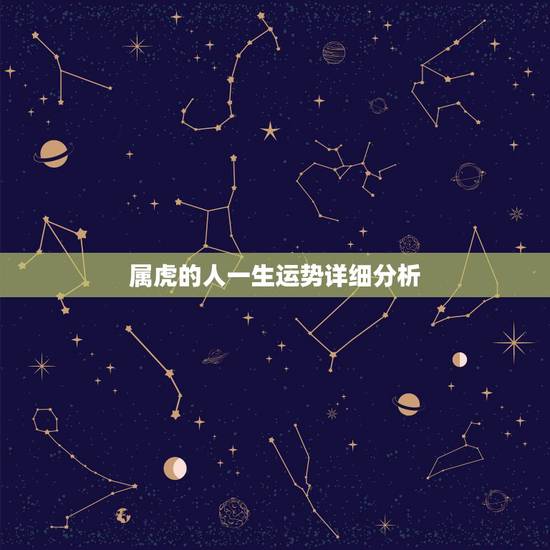 属虎的人一生运势详细分析,属虎人一辈子的财运 属虎的人一生运势详细分析,属虎人一辈子的财运