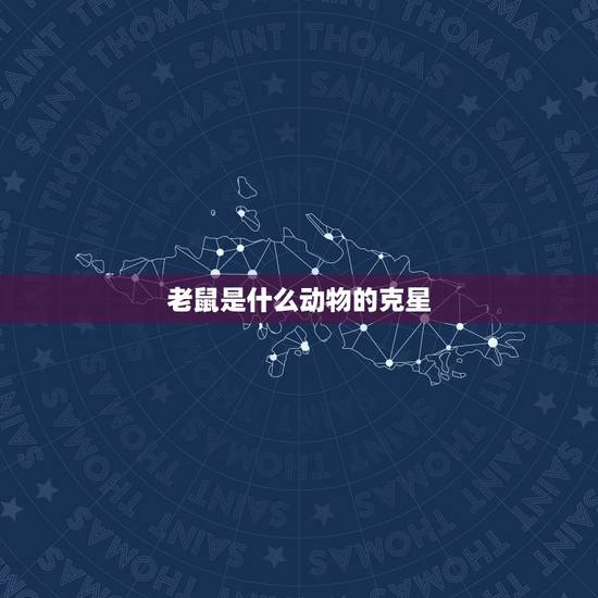 老鼠是什么动物的克星，自制老鼠最怕的味道