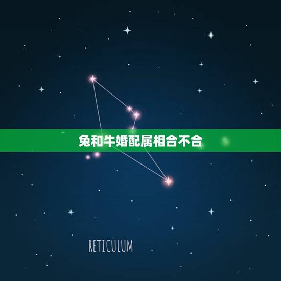 兔和牛婚配属相合不合，男兔女牛婚配合不合