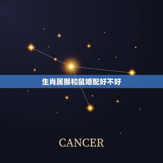 生肖属猴和鼠婚配好不好,女属猴男属鼠相配吗? 生肖属猴和鼠婚配好不好,女属猴男属鼠相配吗?