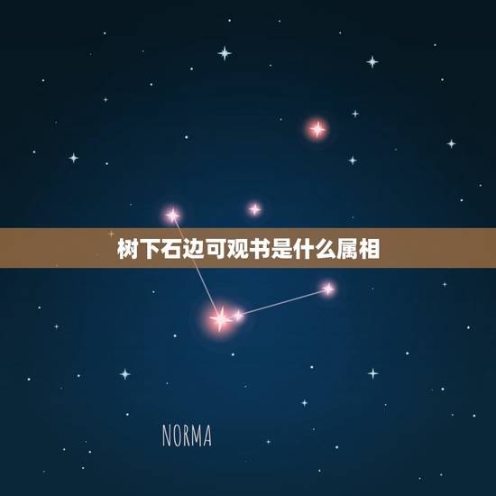 树下石边可观书是什么属相，心猿意马心非非 打一个生肖