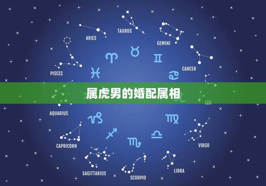 属虎男的婚配属相,属虎的最佳配对属相是什么? 属虎男的婚配属相,属虎的最佳配对属相是什么?