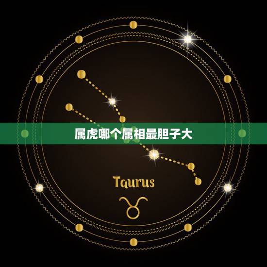 属虎哪个属相最胆子大,属虎的人适合与什么属相的人共事 属虎哪个属相最胆子大,属虎的人适合与什么属相的人共事