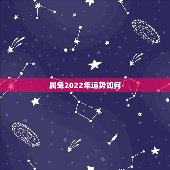 属兔2022年运势如何，2022 年属兔下半年要出大事