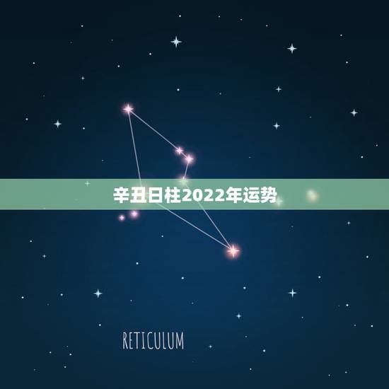 辛丑日柱2022年运势,辛丑日柱2021年婚姻怎么样?求大神指点 辛丑日柱2022年运势,辛丑日柱2021年婚姻怎么样?求大神指点