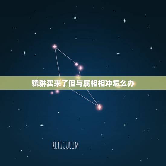 貔貅买来了但与属相相冲怎么办，貔貅和什么属相有冲突吗？求解答下
