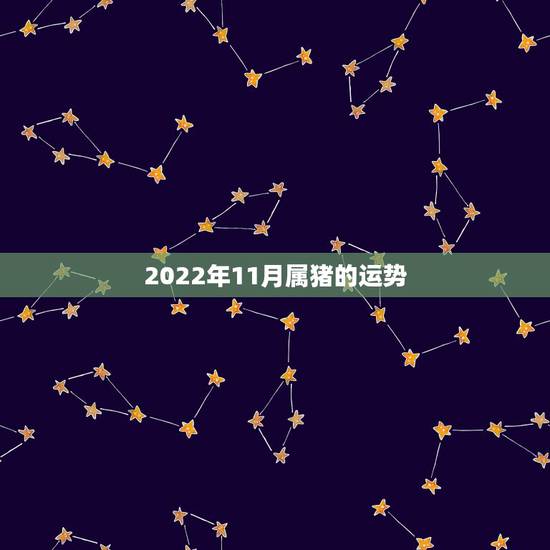 2022年11月属猪的运势,2022年12生肖运势解析 2022年11月属猪的运势,2022年12生肖运势解析