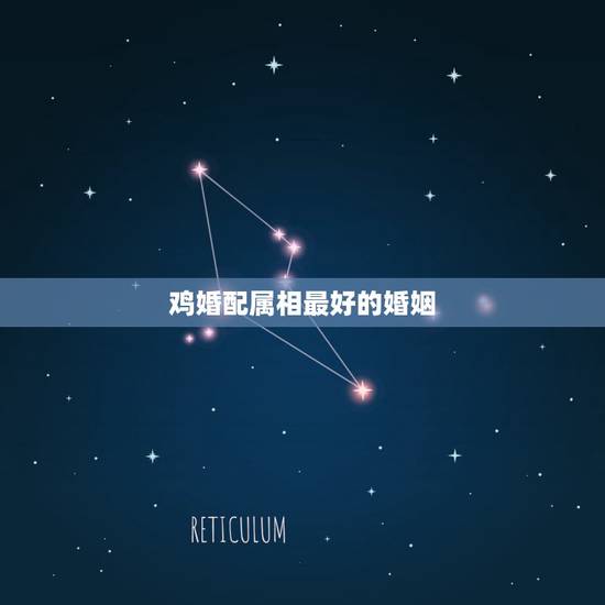 鸡婚配属相最好的婚姻,鸡可以婚配什么属相? 鸡婚配属相最好的婚姻,鸡可以婚配什么属相?