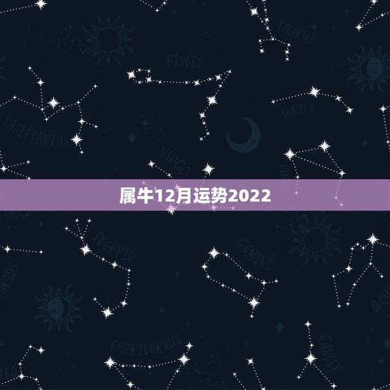 属牛12月运势2022，2022年属牛每月运程