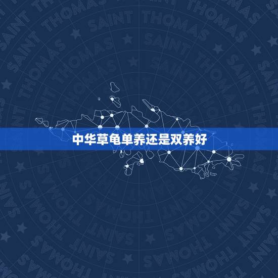 中华草龟单养还是双养好,养乌龟的技巧?养一只还是养两只好? 中华草龟单养还是双养好,养乌龟的技巧?养一只还是养两只好?