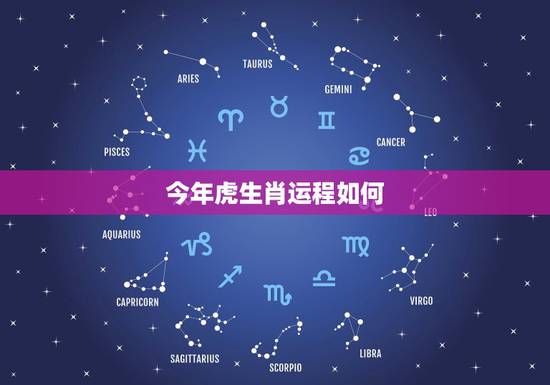 今年虎生肖运程如何，2022 年属虎人的幸运数