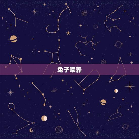 兔子喂养 禁忌,胸前的兔子立起来了 兔子喂养 禁忌,胸前的兔子立起来了