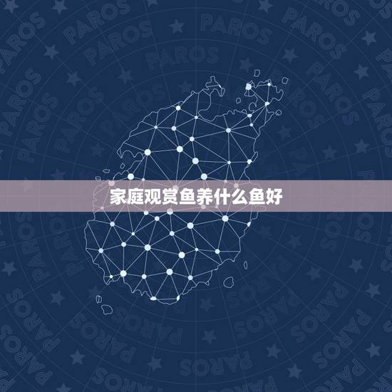 家庭观赏鱼养什么鱼好，适合家庭养的观赏鱼有哪些种类