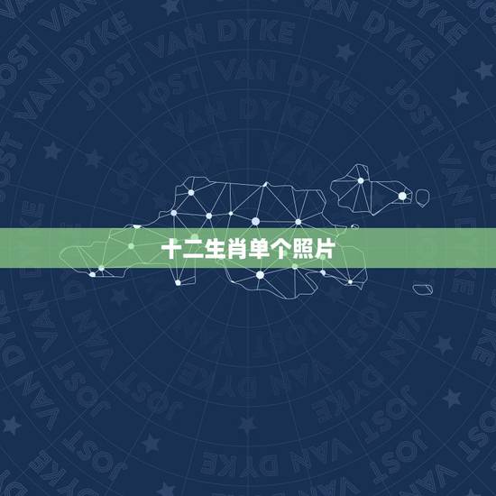 十二生肖单个照片，十二生肖单个图
