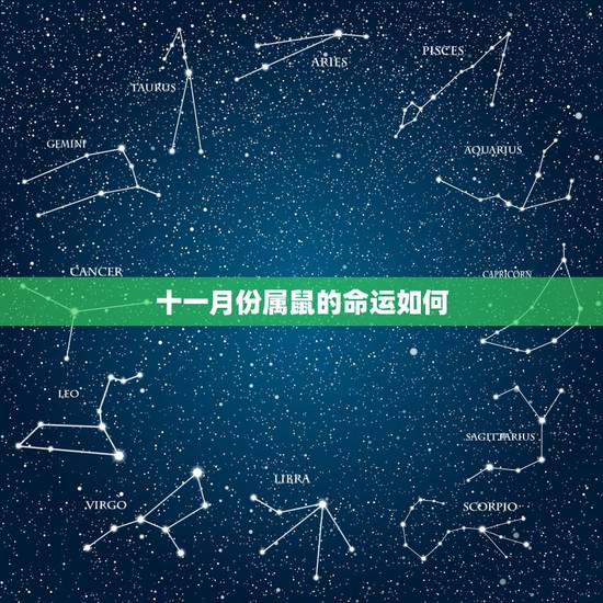 十一月份属鼠的命运如何，十一月出生的鼠男命运