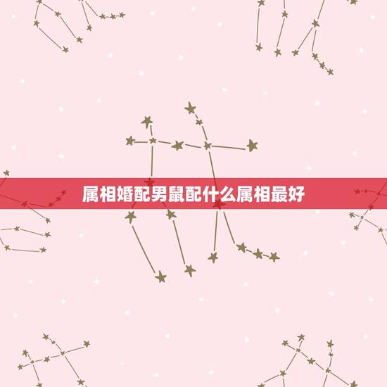 属相婚配男鼠配什么属相最好,属老鼠和什么属相相配? 属相婚配男鼠配什么属相最好,属老鼠和什么属相相配?