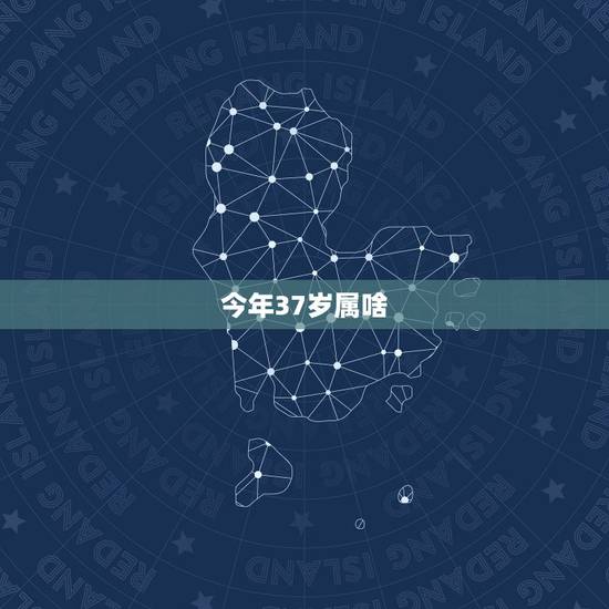 今年37岁属啥，属猴的今年多大了