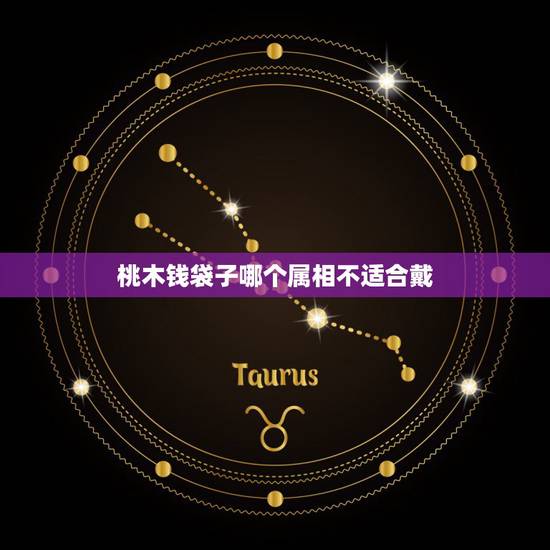 桃木钱袋子哪个属相不适合戴，什么生肖带哪种生肖桃木最好