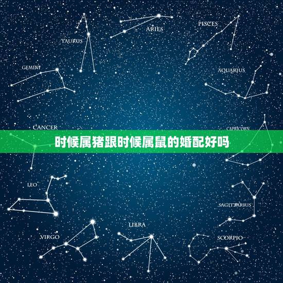 时候属猪跟时候属鼠的婚配好吗，属猪与属鼠相配吗