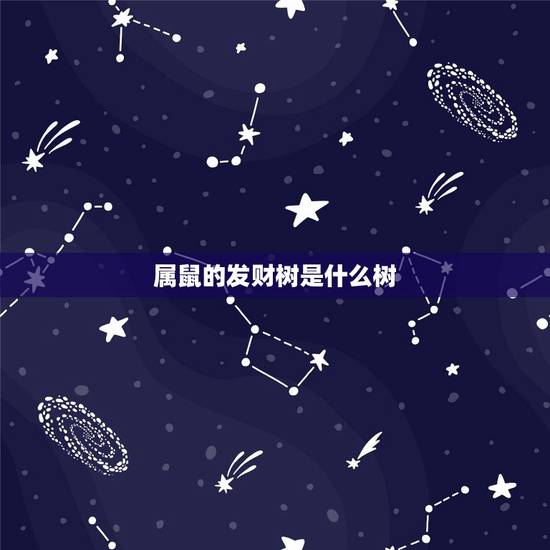 属鼠的发财树是什么树,发财树结果是什么预兆 属鼠的发财树是什么树,发财树结果是什么预兆