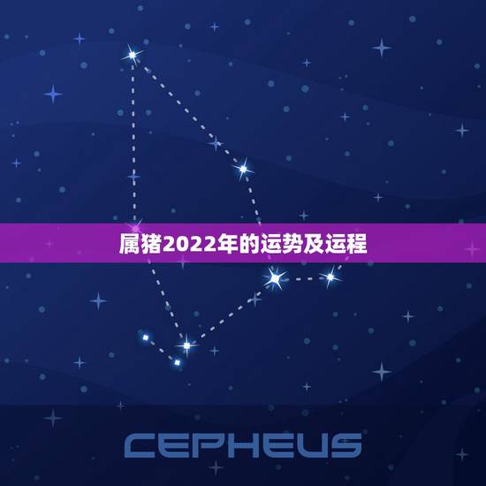 属猪2022年的运势及运程,属猪2022年运程 属猪2022年的运势及运程,属猪2022年运程