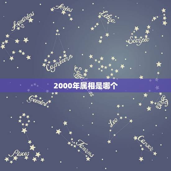 2000年属相是哪个，公历2000年出生的人属什么生肖