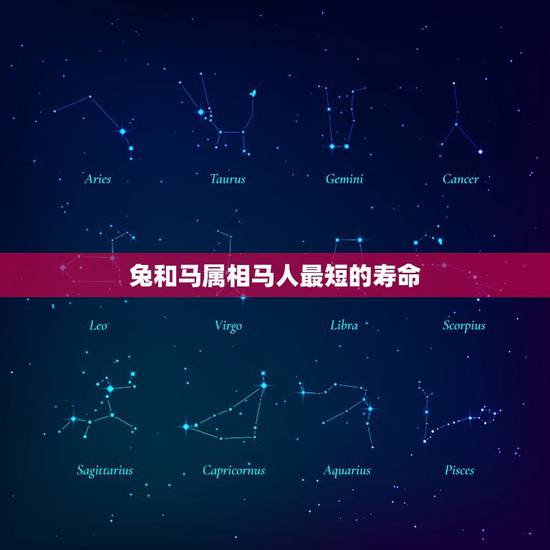 兔和马属相马人最短的寿命，属马的人和属兔的人在一起不好吗