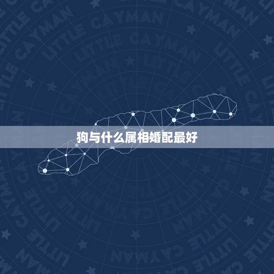 狗与什么属相婚配最好,属狗的和什么属相最配 狗与什么属相婚配最好,属狗的和什么属相最配