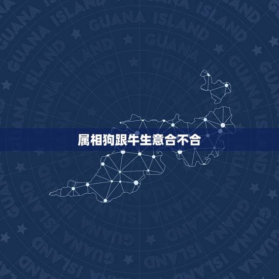 属相狗跟牛生意合不合，属狗和属牛的合不合
