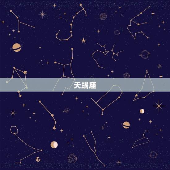 天蝎座 天蝎座