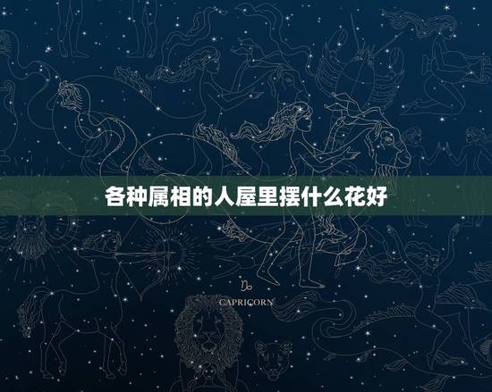 各种属相的人屋里摆什么花好，室内养什么花对人身体好？