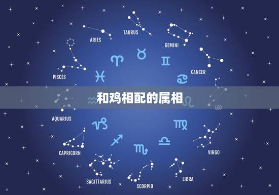 和鸡相配的属相，和鸡不合的生肖