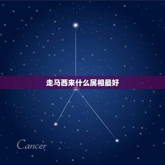 走马西来什么属相最好，走马西来打一生肖