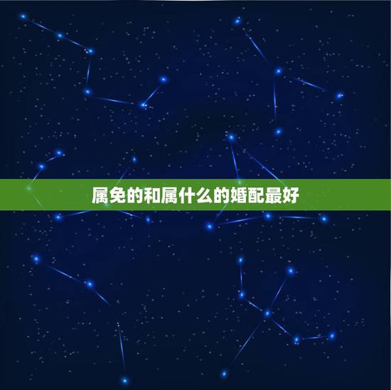 属免的和属什么的婚配最好，属兔的和什么属相最配