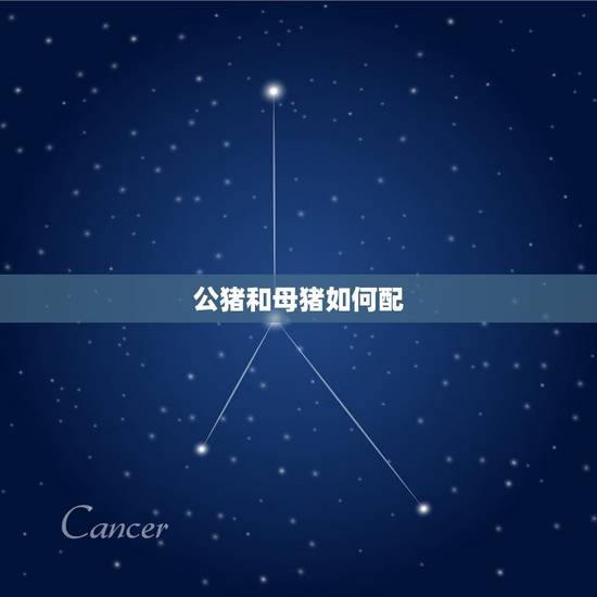 公猪和母猪如何配,女性人类动物马和人 公猪和母猪如何配,女性人类动物马和人