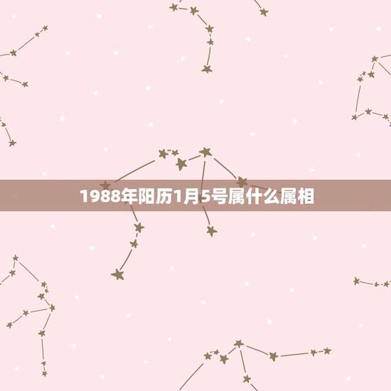 1988年阳历1月5号属什么属相，阳历1988年1月5日出生的是什么属