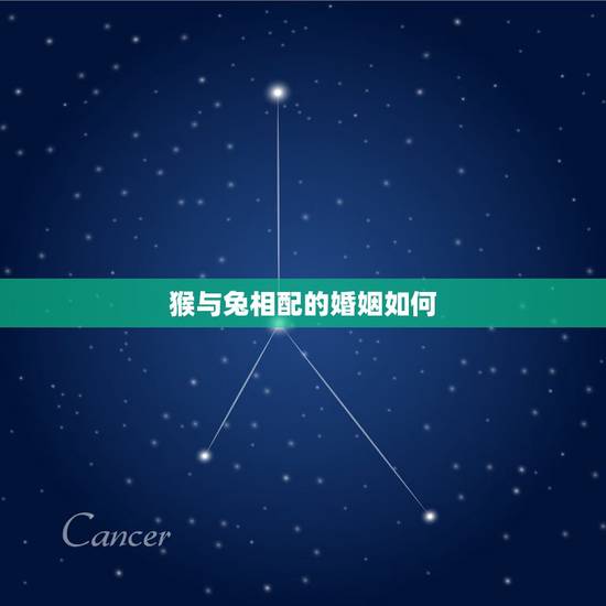 猴与兔相配的婚姻如何,猴兔有姻缘吗 猴与兔相配的婚姻如何,猴兔有姻缘吗