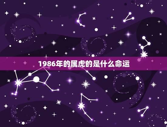 1986年的属虎的是什么命运,1986属虎女婚姻与命运 1986年的属虎的是什么命运,1986属虎女婚姻与命运