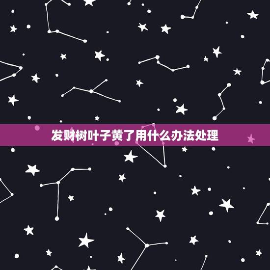 发财树叶子黄了用什么办法处理,发财树叶子黄了是什么缘故? 发财树叶子黄了用什么办法处理,发财树叶子黄了是什么缘故?
