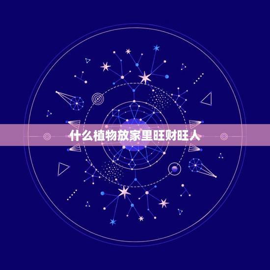 什么植物放家里旺财旺人，店里放什么花草旺财？