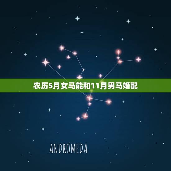 农历5月女马能和11月男马婚配，属马的属相婚配表，属马和什么属相最配