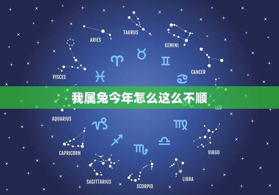 我属兔今年怎么这么不顺,2022 年属兔灾难 我属兔今年怎么这么不顺,2022 年属兔灾难