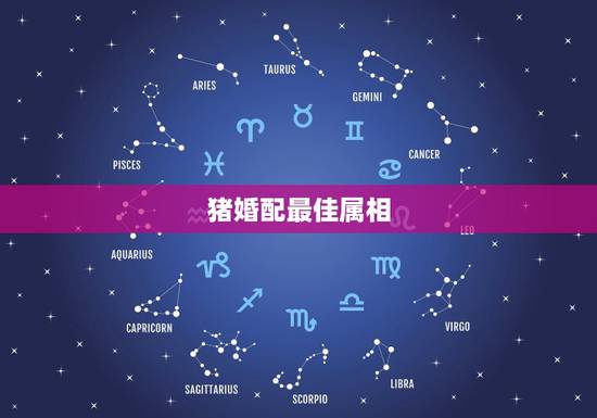 猪婚配最佳属相,生肖猪最佳配对属相 猪婚配最佳属相,生肖猪最佳配对属相