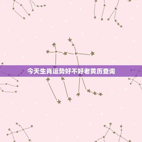 今天生肖运势好不好老黄历查询,2022 生肖运势 今天生肖运势好不好老黄历查询,2022 生肖运势