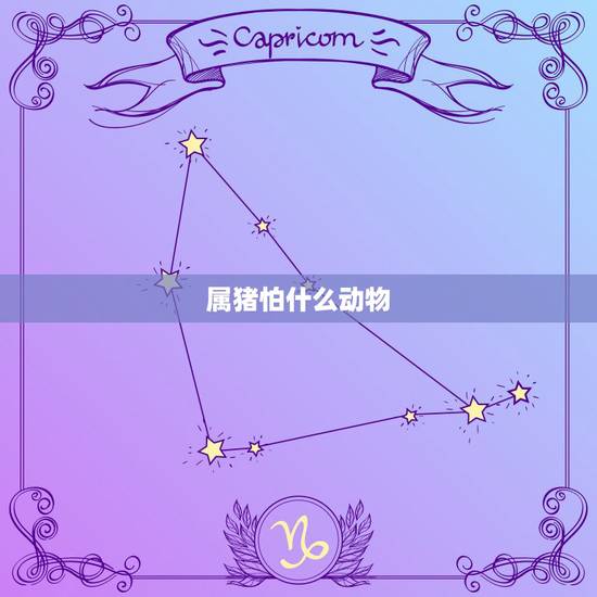属猪怕什么动物，属猪与什么属相相克