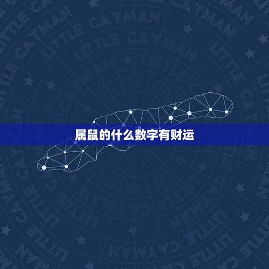 属鼠的什么数字有财运，1984年属鼠人一生财运